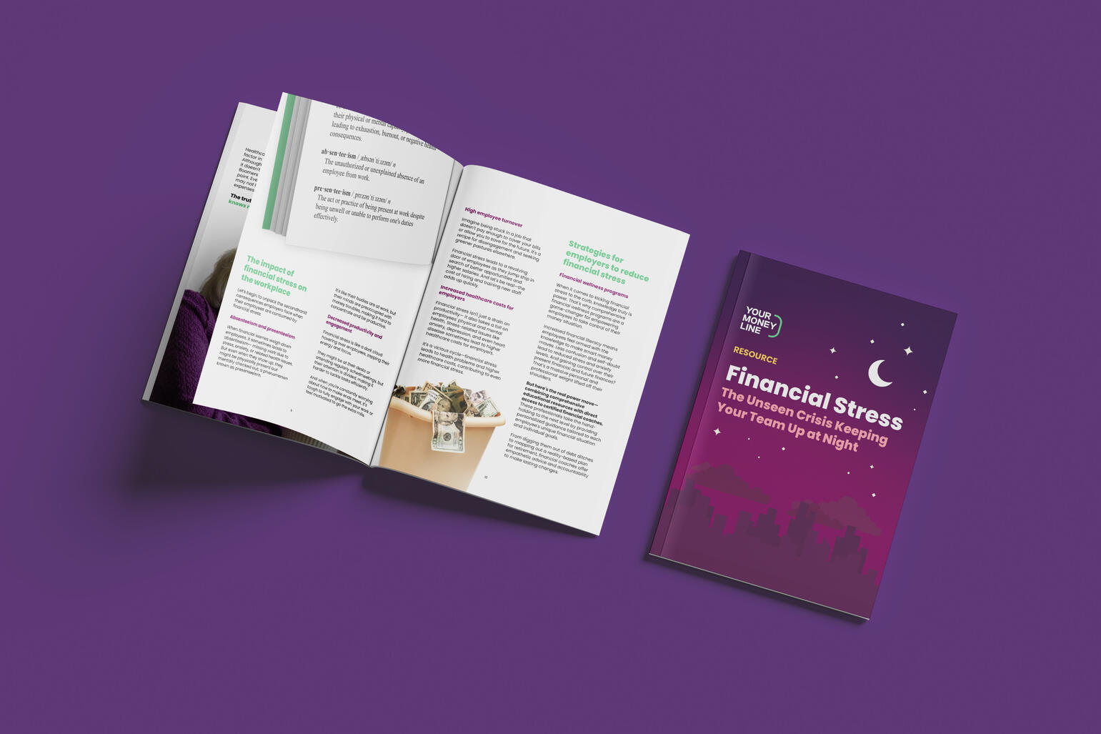 YML Financial Stress Book